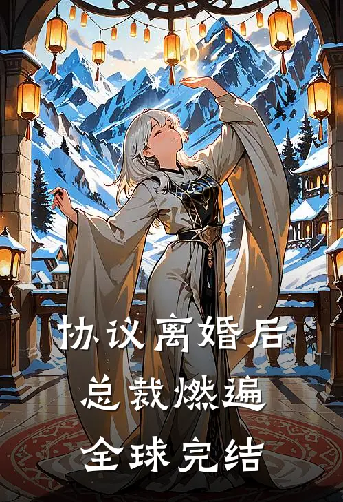 协议离婚后，总裁燃遍全球完结