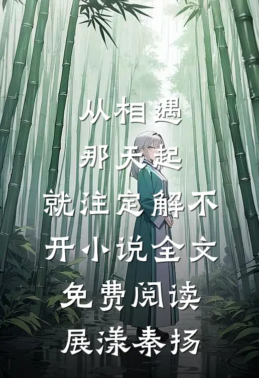 从相遇那天起，就注定解不开小说全文免费阅读展漾秦扬