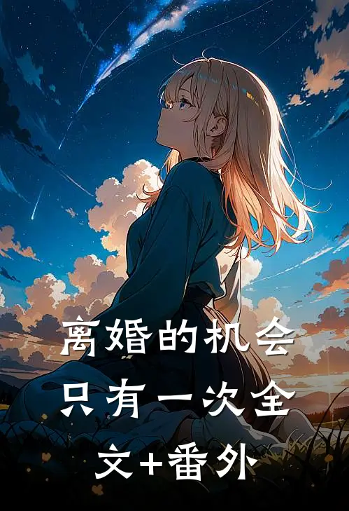 离婚的机会只有一次全文+番外