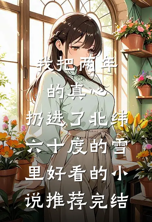 我把两年的真心，扔进了北纬六十度的雪里好看的小说推荐完结