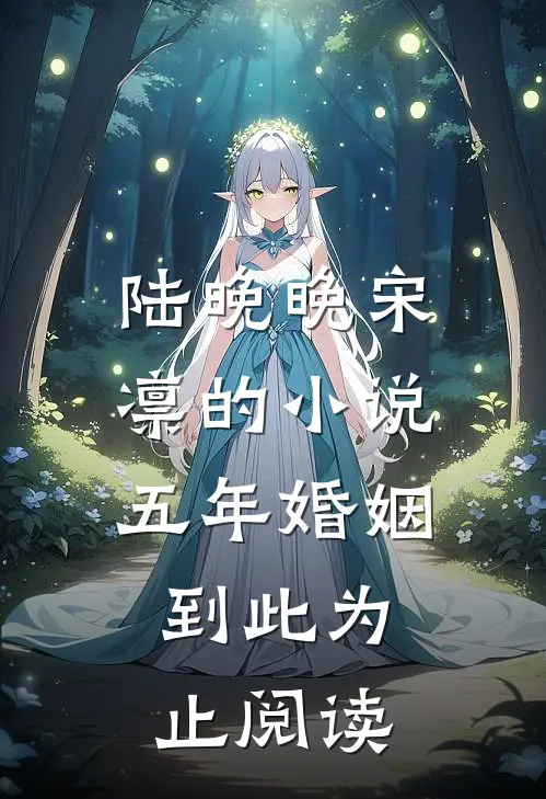 陆晚晚宋凛的小说五年婚姻，到此为止阅读