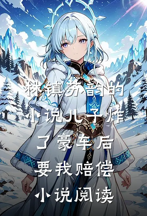 林镇苏韵的小说儿子炸了豪车后，要我赔偿小说阅读