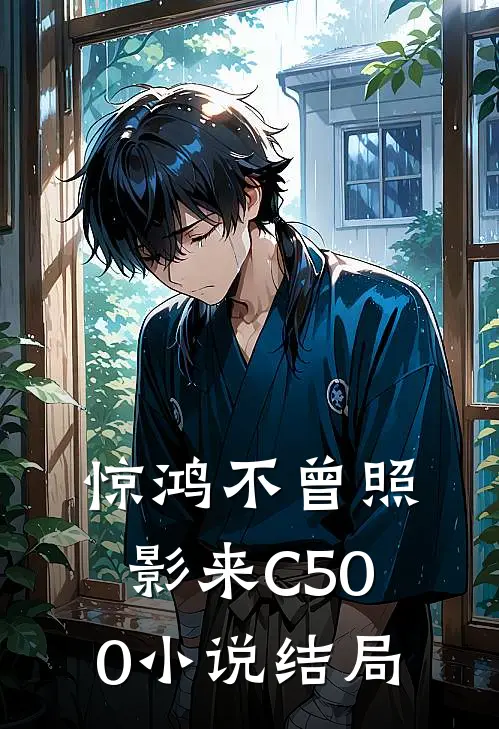 惊鸿不曾照影来C500小说结局