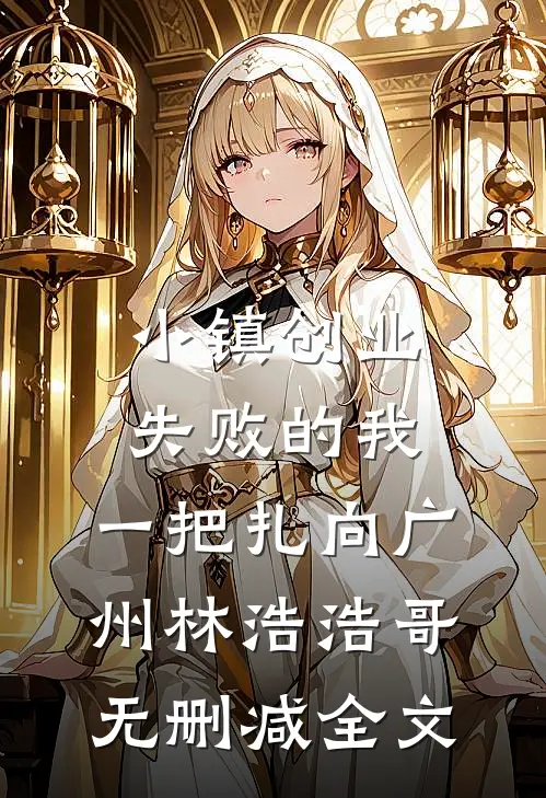 小镇创业失败的我，一把扎向广州林浩浩哥无删减全文