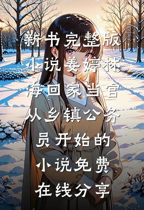 回家当官:从乡镇公务员开始的小说