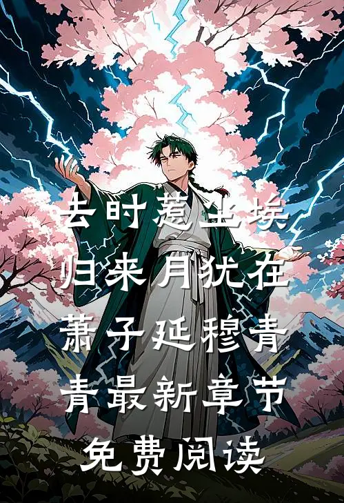 去时惹尘埃，归来月犹在萧子延穆青青最新章节免费阅读