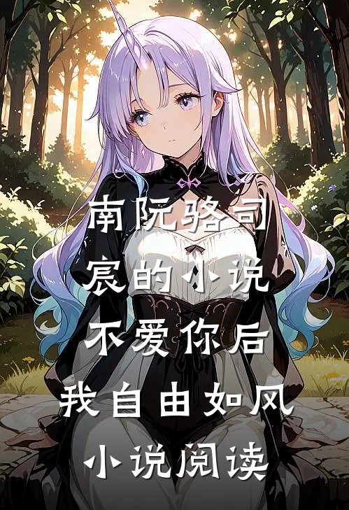南阮骆司宸的小说不爱你后，我自由如风小说阅读