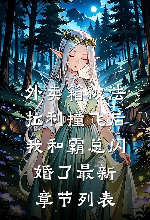 外卖箱被法拉利撞飞后，我和霸总闪婚了最新章节列表