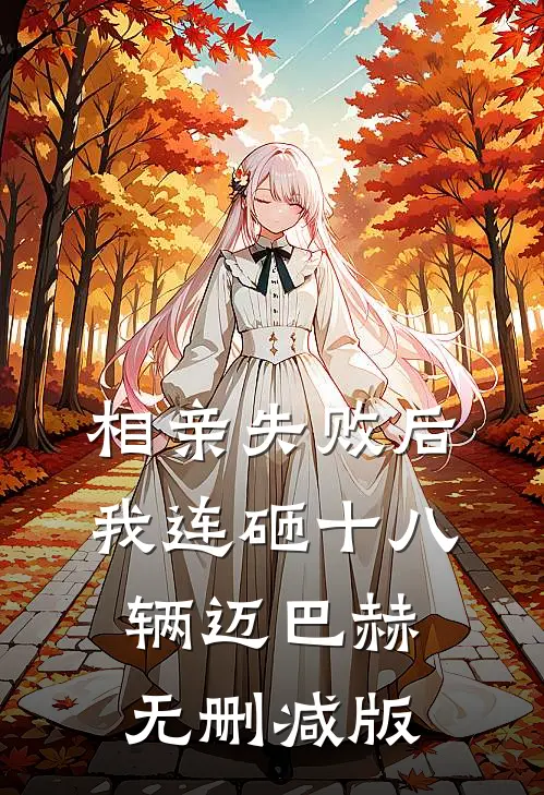 相亲失败后，我连砸十八辆迈巴赫无删减版