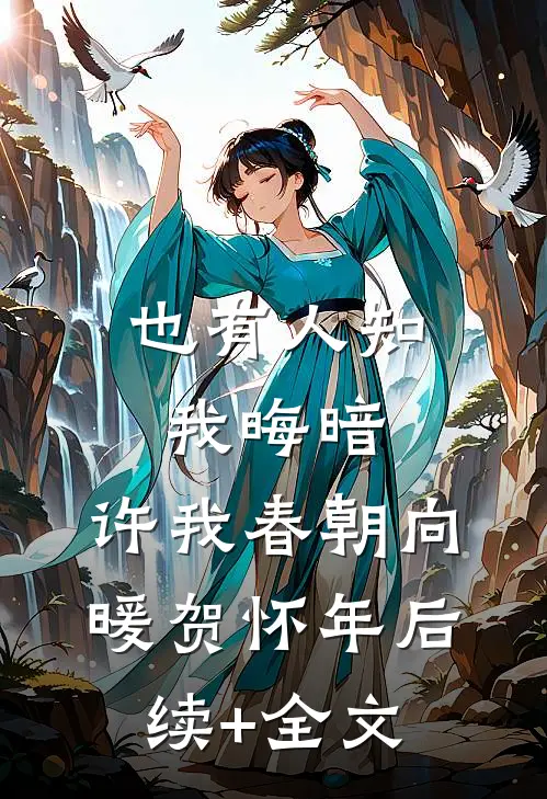 也有人知我晦暗，许我春朝向暖贺怀年后续+全文