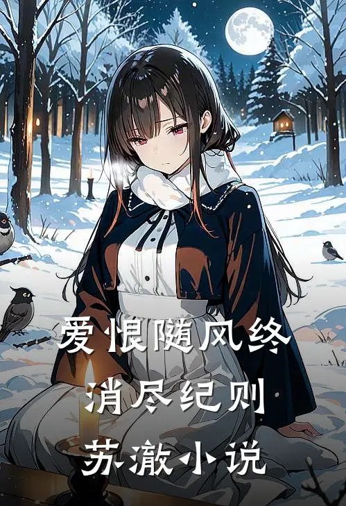 爱恨随风终消尽纪则苏澈小说