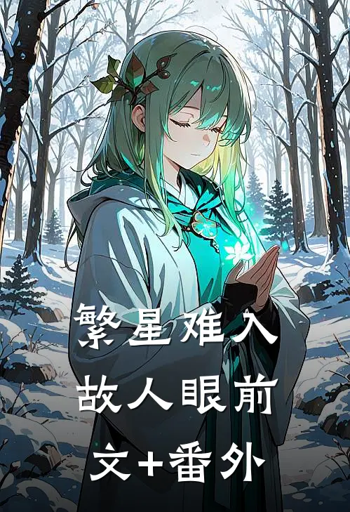 繁星难入故人眼前文+番外