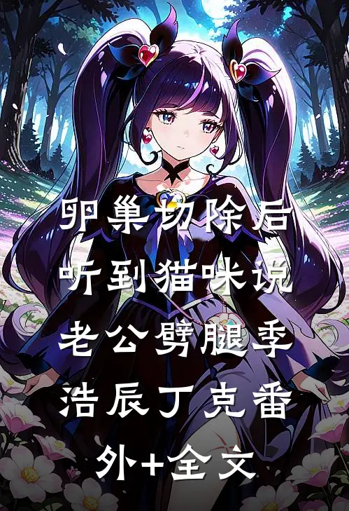 卵巢切除后，听到猫咪说老公劈腿季浩辰丁克(番外)+(全文)