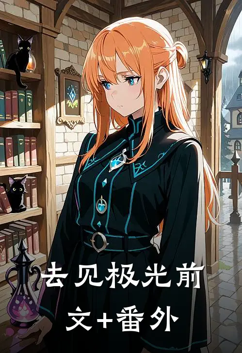 去见极光前文+番外
