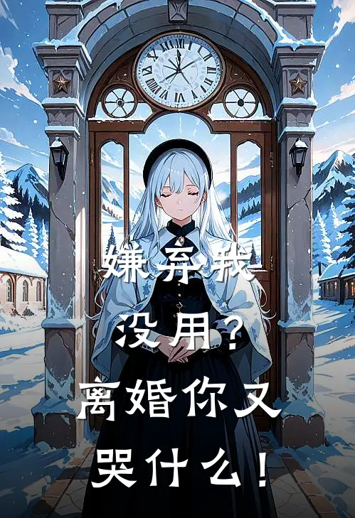 嫌弃我没用？离婚你又哭什么！