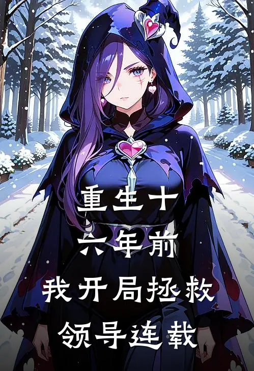 重生十六年前，我开局拯救领导连载