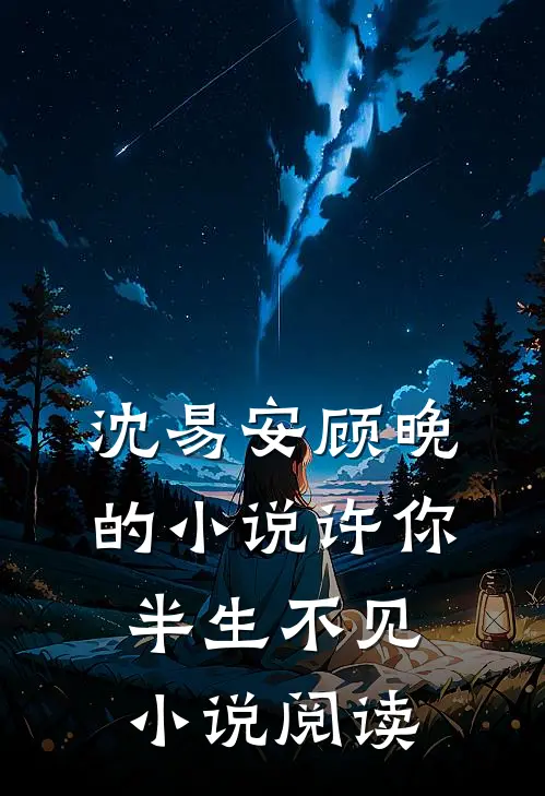 沈易安顾晚的小说许你半生不见小说阅读