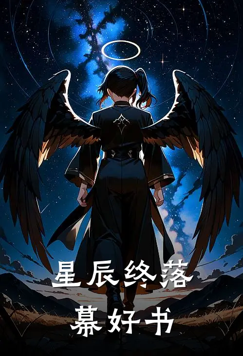 星辰终落幕好书
