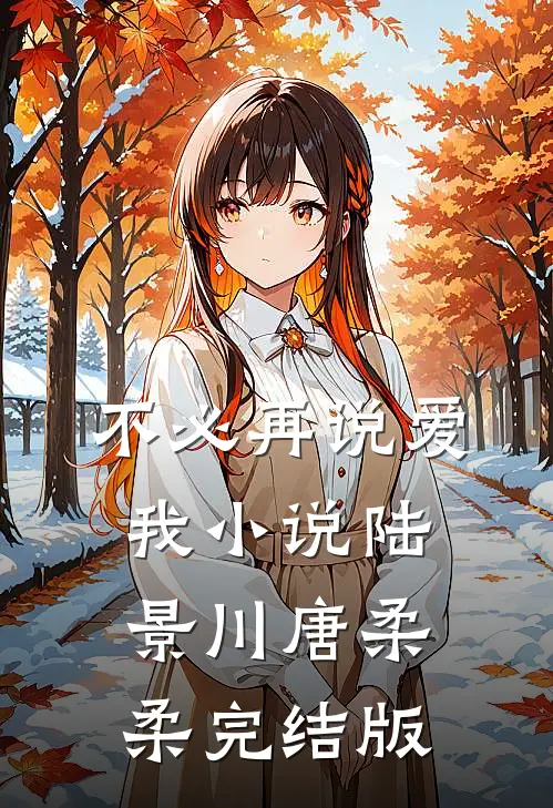 不必再说爱我小说陆景川唐柔柔完结版