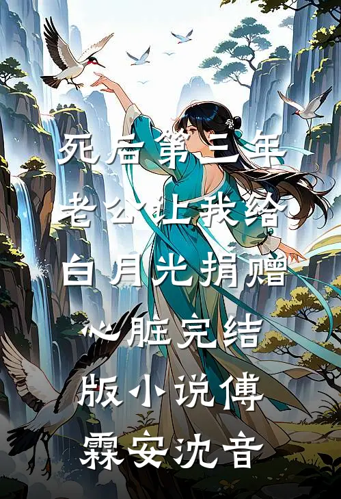 死后第三年，老公让我给白月光捐赠心脏完结版小说傅霖安沈音