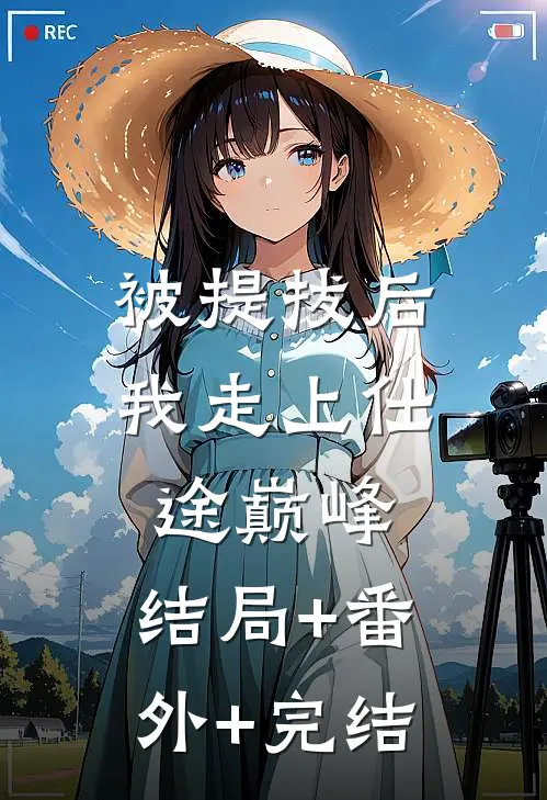被提拔后，我走上仕途巅峰:结局+番外+完结