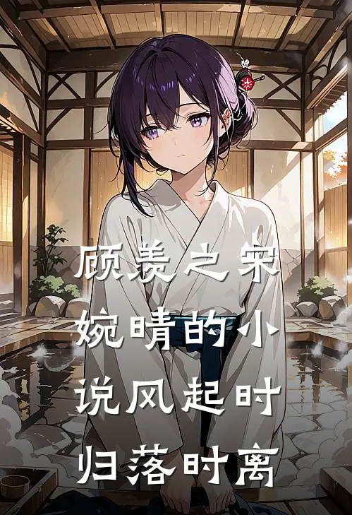 顾羡之宋婉晴的小说风起时归落时离