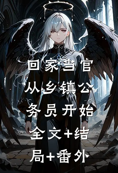 回家当官：从乡镇公务员开始全文+结局+番外