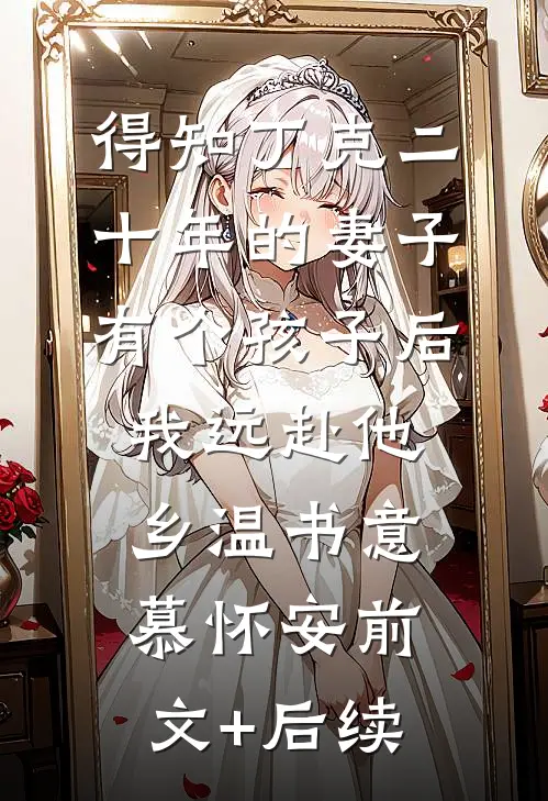 得知丁克二十年的妻子有个孩子后，我远赴他乡温书意慕怀安前文+后续
