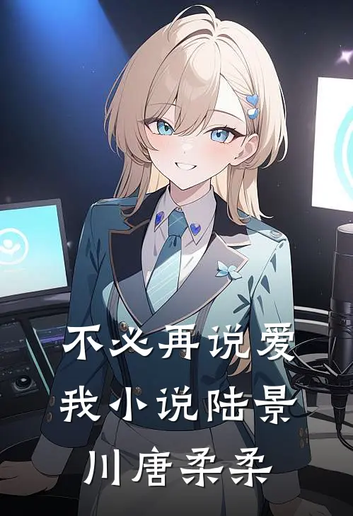不必再说爱我小说陆景川唐柔柔