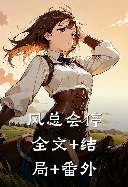 风总会停全文+结局+番外