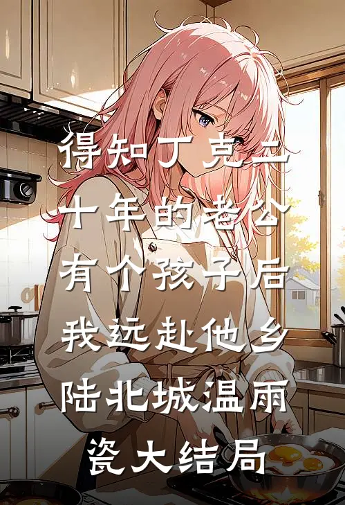 得知丁克二十年的老公有个孩子后，我远赴他乡陆北城温雨瓷大结局