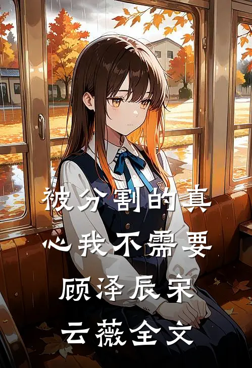 被分割的真心我不需要顾泽辰宋云薇全文
