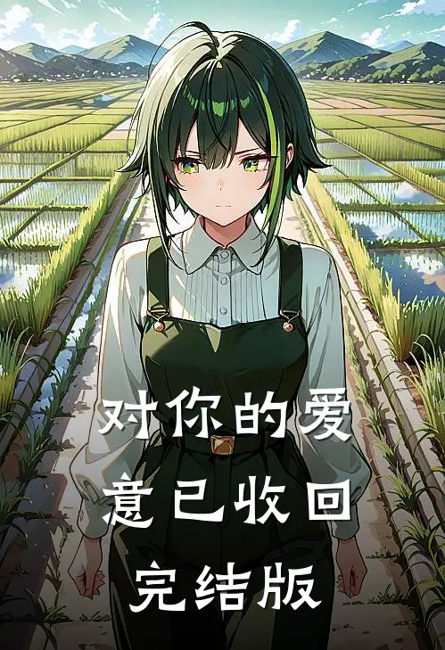 对你的爱意已收回完结版