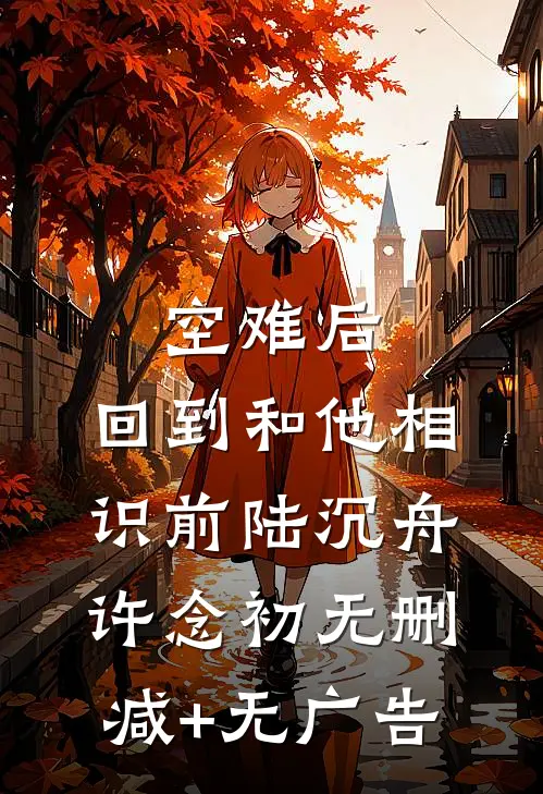 空难后，回到和他相识前陆沉舟许念初无删减+无广告