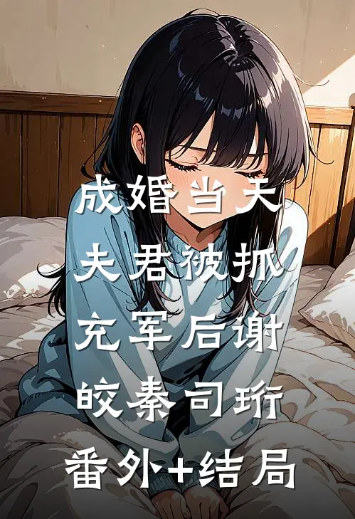 成婚当天，夫君被抓充军后谢皎秦司珩:(番外)+(结局)