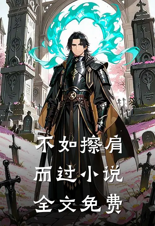 不如擦肩而过小说全文免费