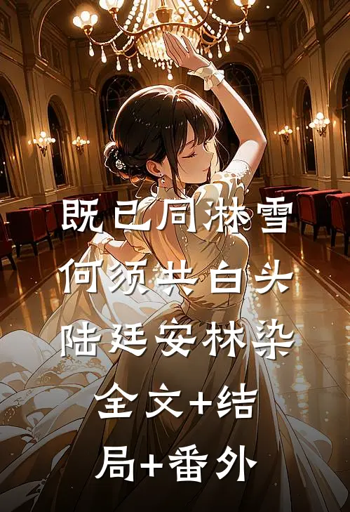 既已同淋雪，何须共白头陆廷安林染:全文+结局+番外