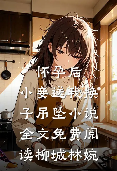 怀孕后，小妾送我换子吊坠小说全文免费阅读柳城林婉