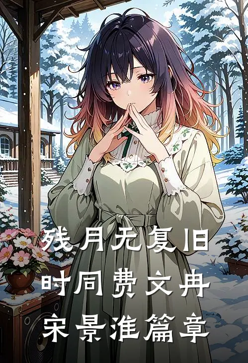 你的星光我的归期目录