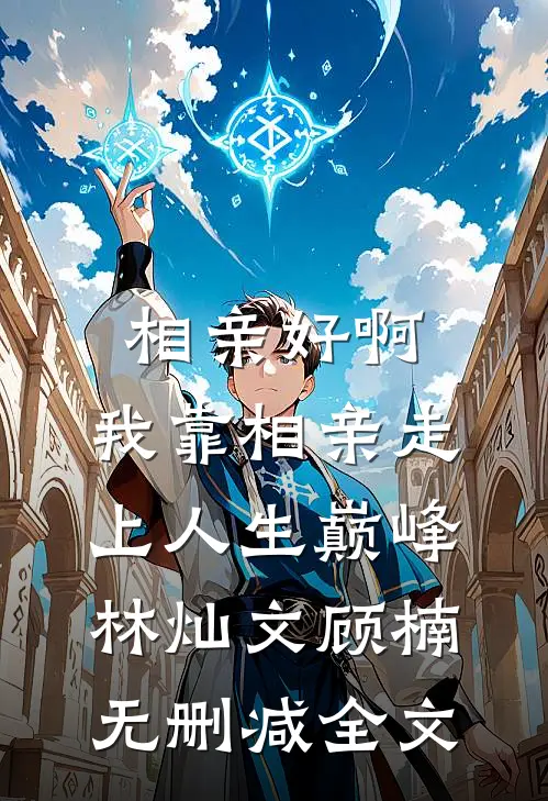 相亲好啊，我靠相亲走上人生巅峰林灿文顾楠无删减全文