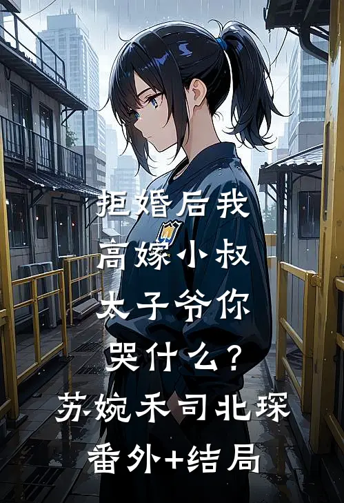 拒婚后我高嫁小叔，太子爷你哭什么？苏婉禾司北琛:(番外)+(结局)