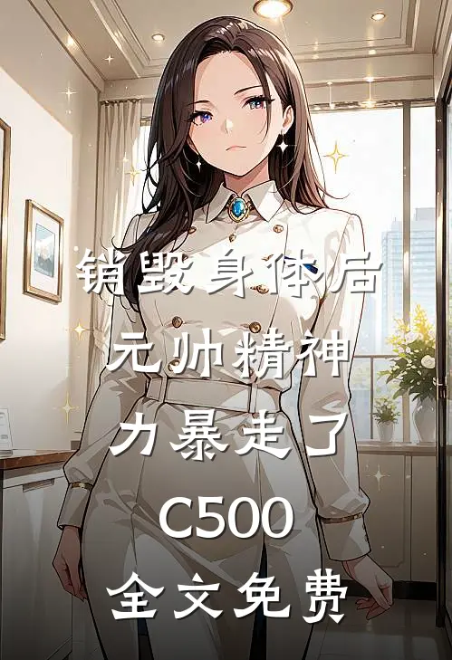 销毁身体后，元帅精神力暴走了C500全文免费