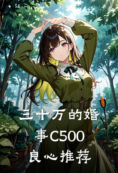 三十万的婚事C500良心推荐