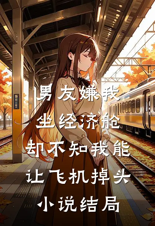 男友嫌我坐经济舱，却不知我能让飞机掉头小说结局