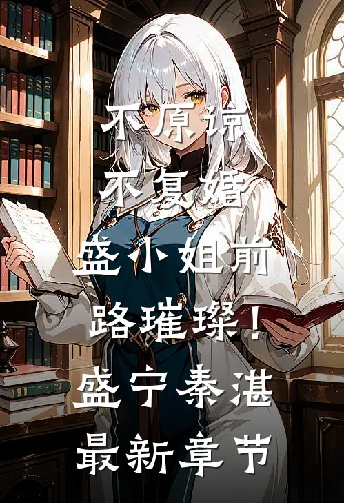 不原谅，不复婚，盛小姐前路璀璨！盛宁秦湛最新章节