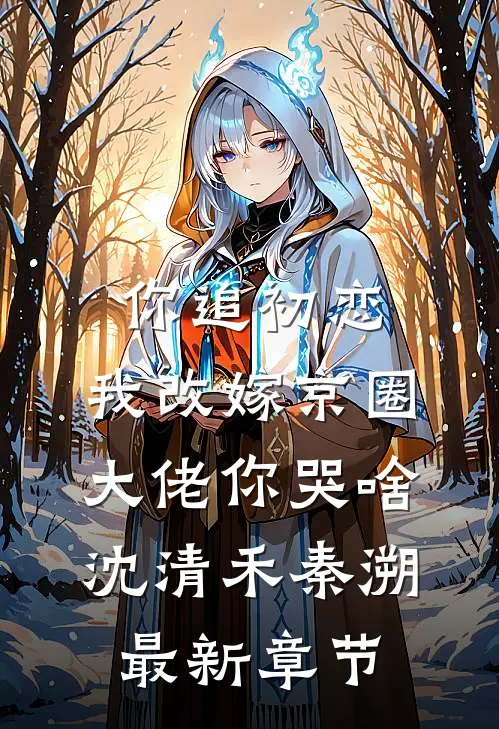 你追初恋，我改嫁京圈大佬你哭啥沈清禾秦溯最新章节