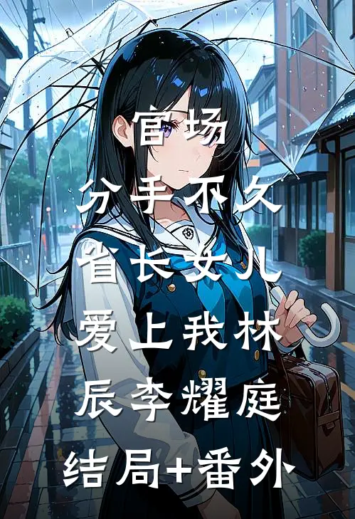 官场：分手不久，省长女儿爱上我林辰李耀庭:结局+番外