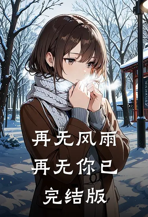 再无风雨再无你已完结版
