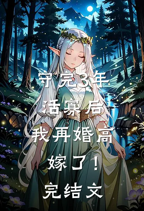 守完3年活寡后，我再婚高嫁了！完结文