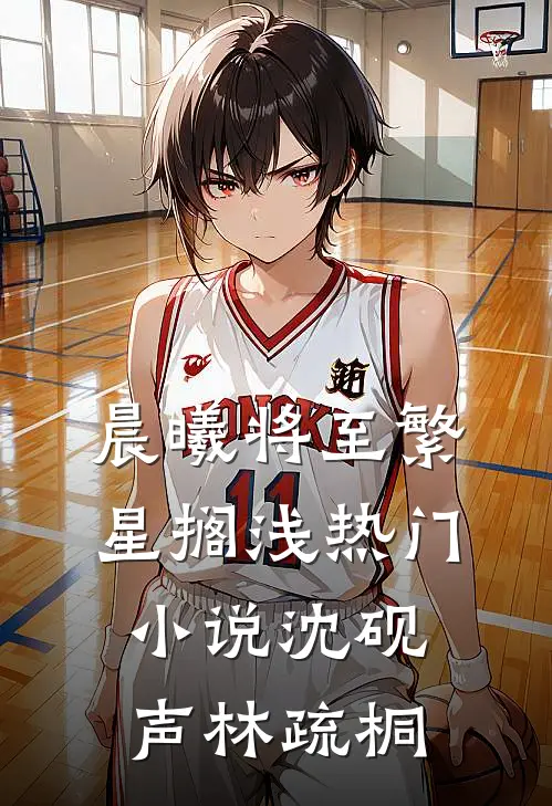晨曦将至繁星搁浅热门小说沈砚声林疏桐